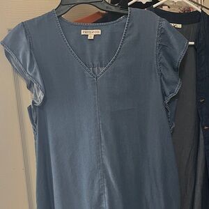 Frye jean dress